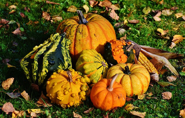 Calabaza mejores verduras invierno