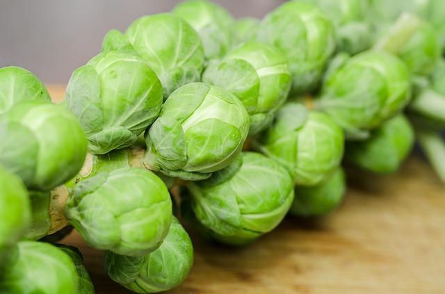 coles de bruselas mejores verduras invierno